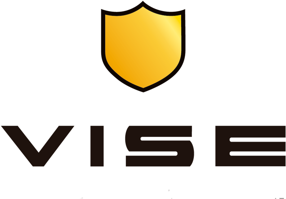 Logo VISE